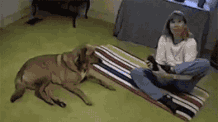 微信图片_20190110100503.gif
