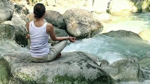 微信图片_20190309135954.gif
